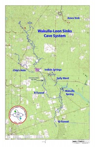 wakulla_leonsinks_2014